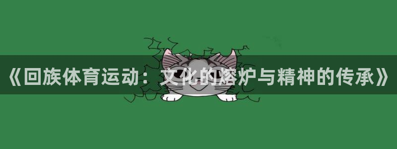 欧亿体育官方正版app科技：《回族体育运动：文化的熔