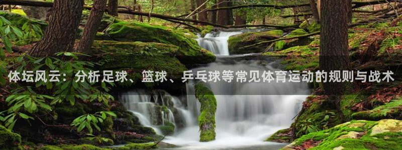 oety欧亿体育官网下载平台假的吗是真的吗：体坛风云