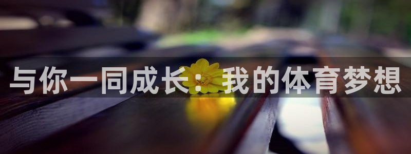 oety欧亿体育官网下载平台：与你一同成长：我的体育