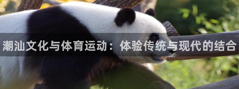 德国欧亿体育官方正版app集团：潮汕文化与体育运动：