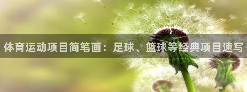 oety欧亿体育官网下载招商电话是多少：体育运动项目
