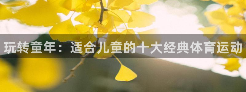 欧亿体育官方正版app娱乐下载：玩转童年：适合儿童的