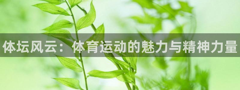 欧亿体育官方正版app科技：体坛风云：体育运动的魅力