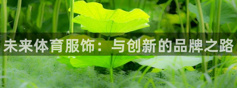 oety欧亿体育官网下载招商电话地址是多少：未来体育服饰：与
