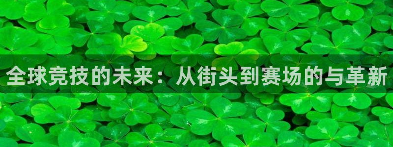 oety欧亿体育官网下载平台是正规平台吗知乎：全球竞技的未来