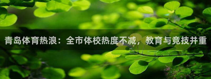 欧亿体育官方正版app官方：青岛体育热浪：全市体校热度不减，