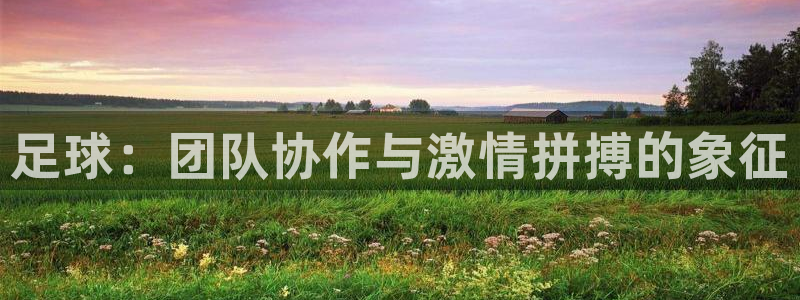 欧亿体育官方正版app开户：足球：团队协作与激情拼搏