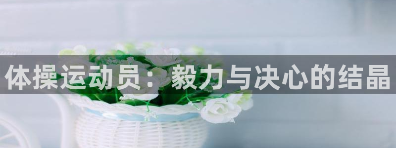 oety欧亿体育官网下载：体操运动员：毅力与决心的结