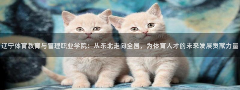 oety欧亿体育官网下载平台假的吗是真的吗吗：辽宁体育教育与