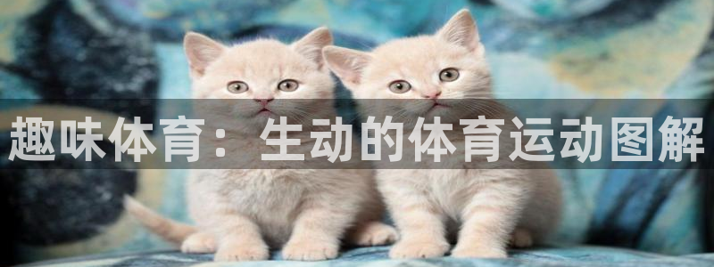 欧亿体育官方集团官网：趣味体育：生动的体育运动图解
