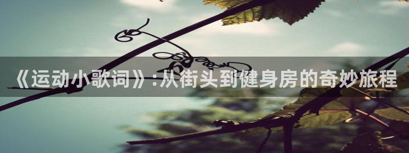 oety欧亿体育官网下载平台注册要钱吗安全吗：《运动小歌词》