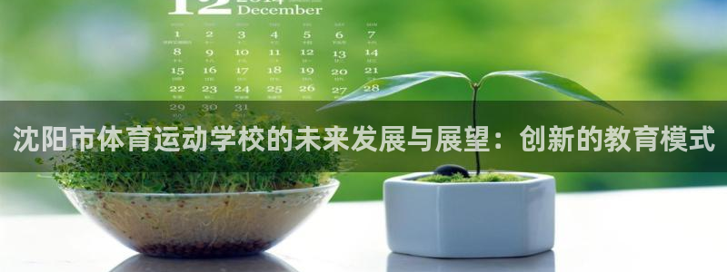 oety欧亿体育官网下载注册：沈阳市体育运动学校的未来发展与
