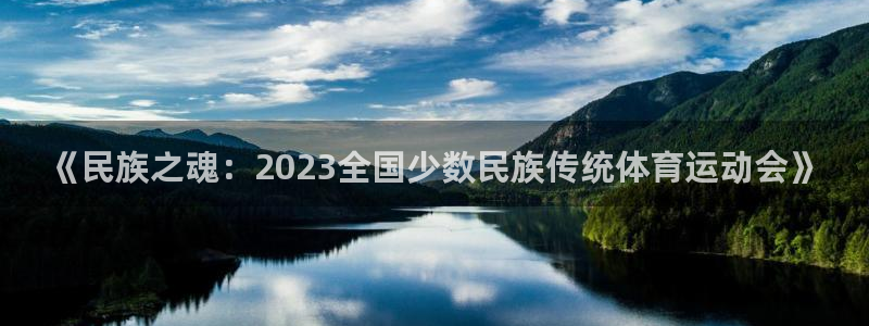 oety欧亿体育官网下载是干嘛的公司：《民族之魂：2023全