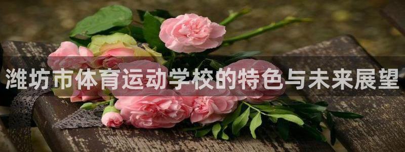 欧亿体育官方正版app集团简介